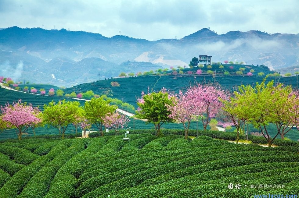 上海室內空氣質量檢測中心-上海CMA檢測報告