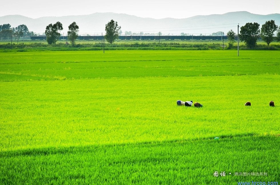 上海室內空氣質量檢測中心-上海CMA檢測報告
